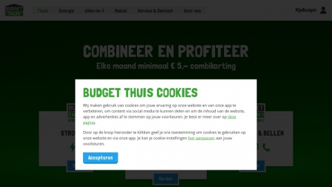 Bezoek de website Reviews over Budget Energie
